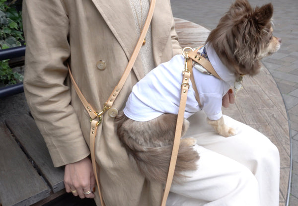 画像をギャラリービューアに読み込む, OCTOハーネス