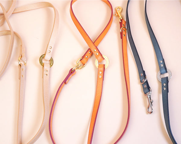 画像をギャラリービューアに読み込む, マルチWAYリード