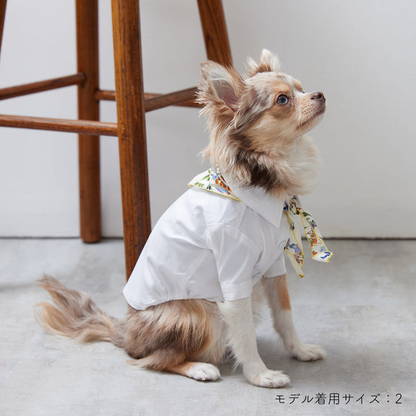 画像をギャラリービューアに読み込む, Stretch shirt(ストレッチ)Navy