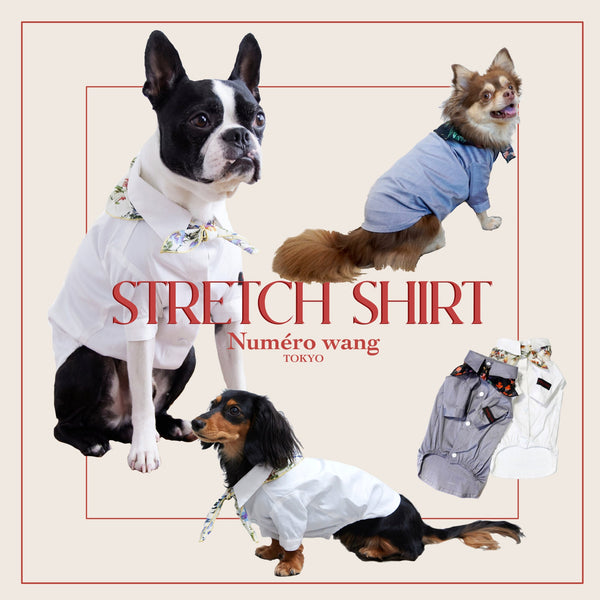 画像をギャラリービューアに読み込む, Stretch shirt(ストレッチ)Navy