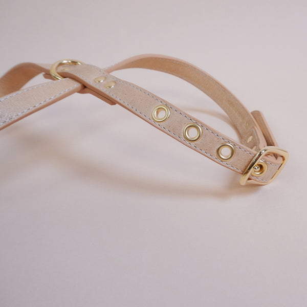 画像をギャラリービューアに読み込む, OCTOハーネス