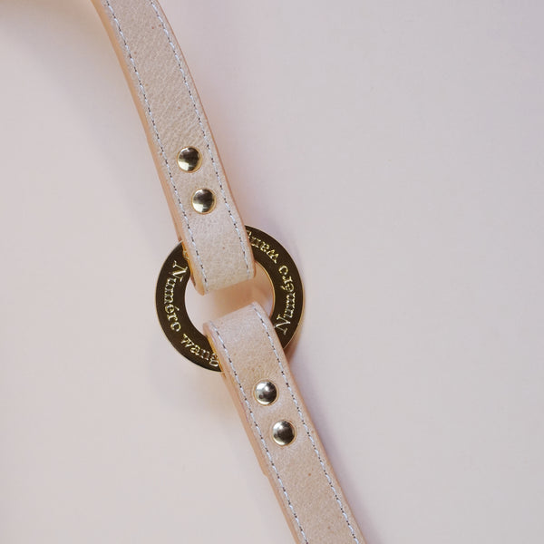 画像をギャラリービューアに読み込む, マルチWAYリード