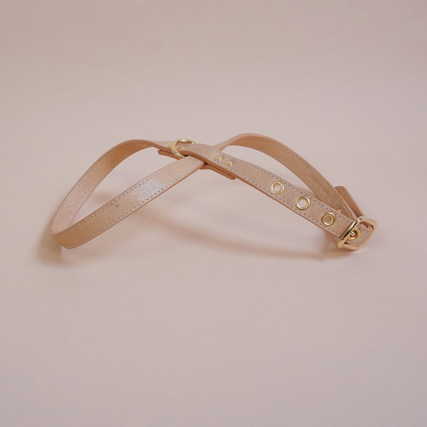 画像をギャラリービューアに読み込む, OCTOハーネス