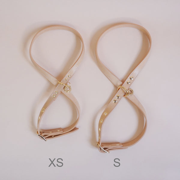 画像をギャラリービューアに読み込む, OCTOハーネス