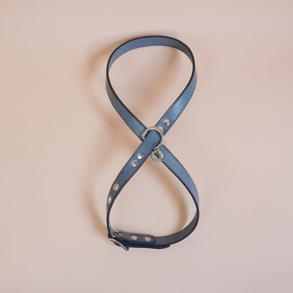 画像をギャラリービューアに読み込む, OCTOハーネス