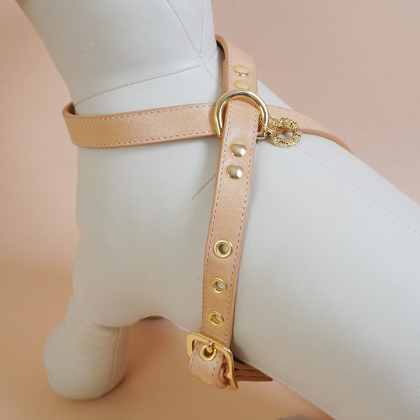 画像をギャラリービューアに読み込む, OCTOハーネス