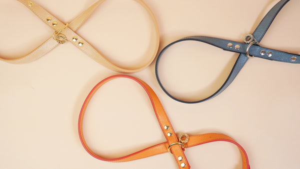 画像をギャラリービューアに読み込む, OCTOハーネス