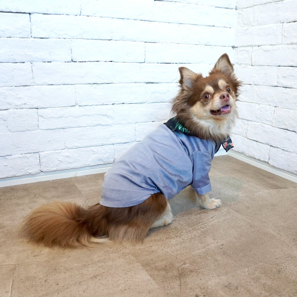 画像をギャラリービューアに読み込む, Stretch shirt(ストレッチ)Navy