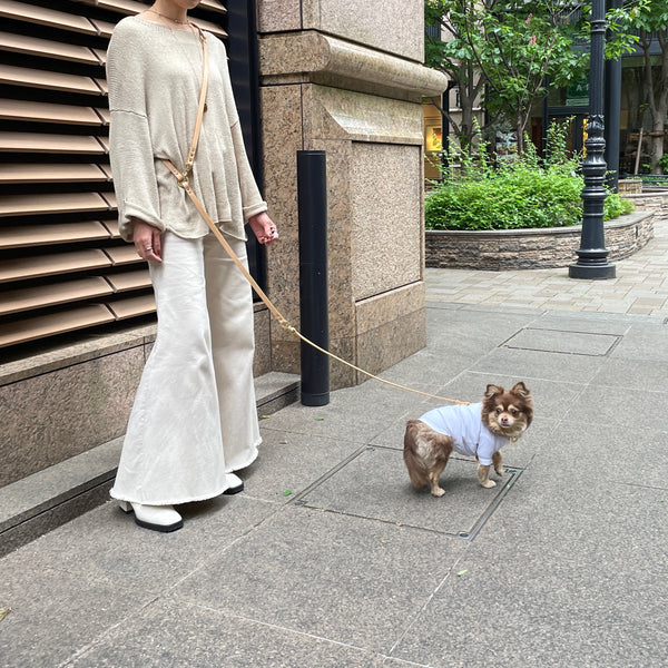 画像をギャラリービューアに読み込む, マルチWAYリード