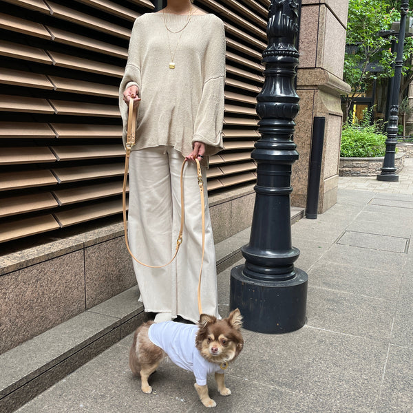 画像をギャラリービューアに読み込む, マルチWAYリード