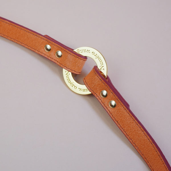 画像をギャラリービューアに読み込む, マルチWAYリード