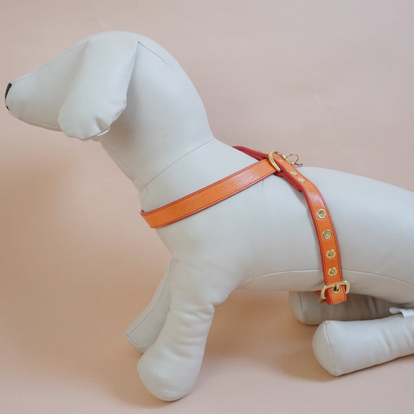 画像をギャラリービューアに読み込む, OCTOハーネス