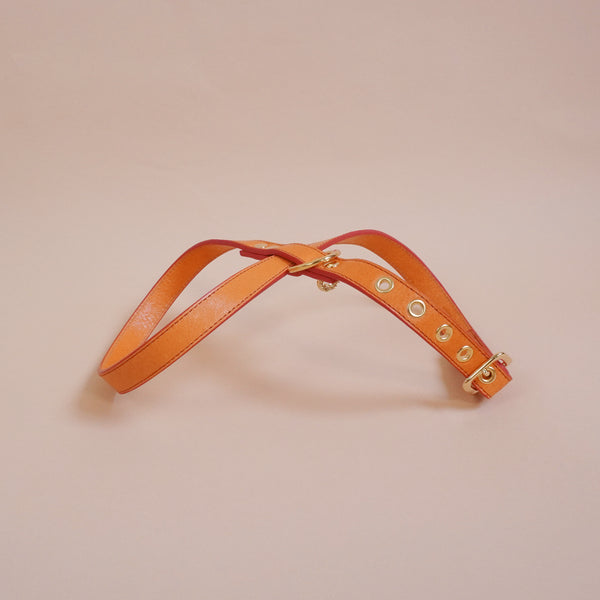 画像をギャラリービューアに読み込む, OCTOハーネス