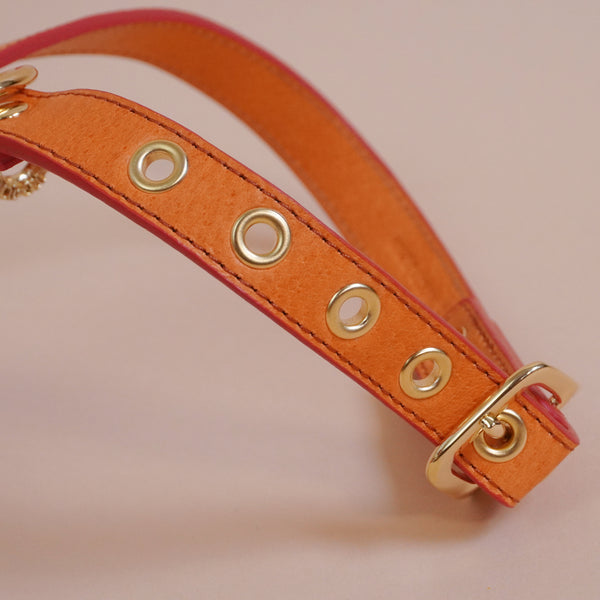 画像をギャラリービューアに読み込む, OCTOハーネス