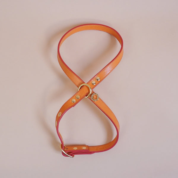 画像をギャラリービューアに読み込む, OCTOハーネス