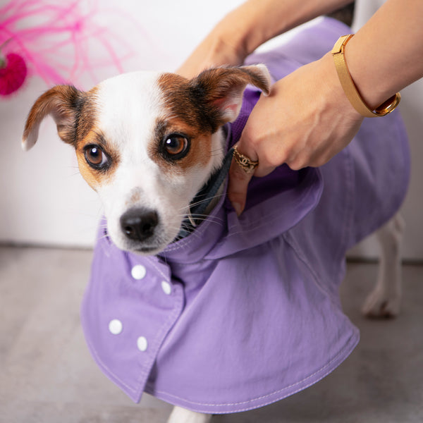 画像をギャラリービューアに読み込む, Water proof cape coat(撥水コート)(Lavender)