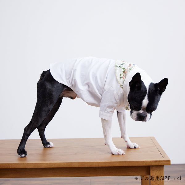 画像をギャラリービューアに読み込む, Stretch shirt(ストレッチ)Navy