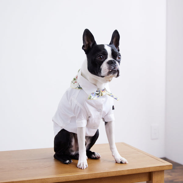 画像をギャラリービューアに読み込む, Stretch shirt(ストレッチ)Navy