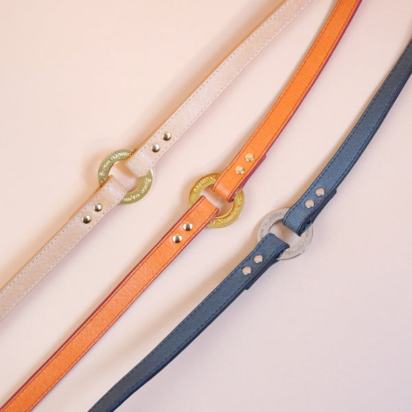 画像をギャラリービューアに読み込む, マルチWAYリード