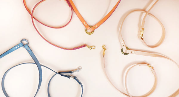 画像をギャラリービューアに読み込む, マルチWAYリード