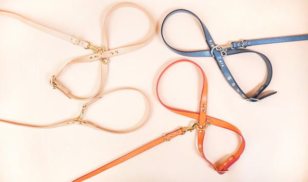 画像をギャラリービューアに読み込む, OCTOハーネス