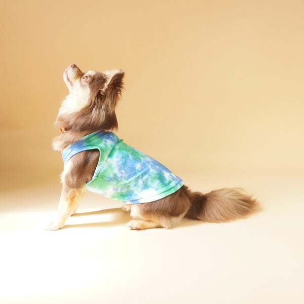 画像をギャラリービューアに読み込む, タイダイトップス(グリーン)