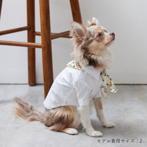 Stretch shirt(ストレッチ)White