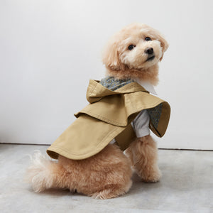 Cape chino coat