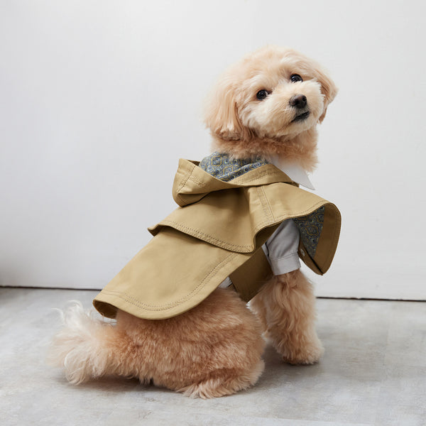 画像をギャラリービューアに読み込む, Cape chino coat