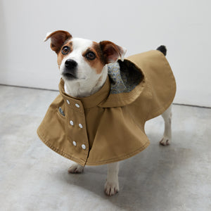 Cape chino coat