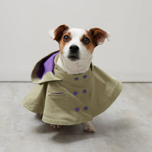 Water proof cape coat(撥水コート)(L/khaki)