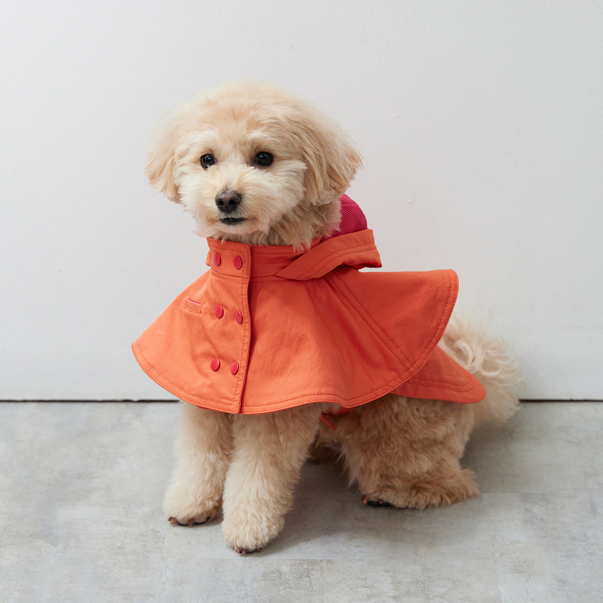 Water proof cape coat(撥水ｺｰﾄ）(Blood orange)