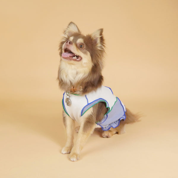 画像をギャラリービューアに読み込む, ブロッキングアクセントメロー(ブルー)