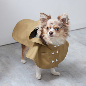 Cape chino coat