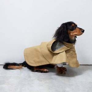 Cape chino coat