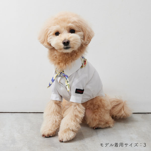 画像をギャラリービューアに読み込む, Stretch shirt(ストレッチ)White