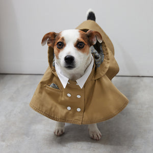 Cape chino coat
