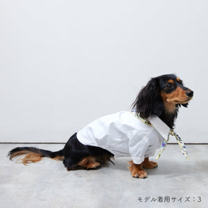 Stretch shirt(ストレッチ)White