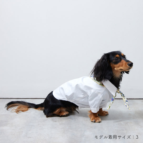 画像をギャラリービューアに読み込む, Stretch shirt(ストレッチ)White