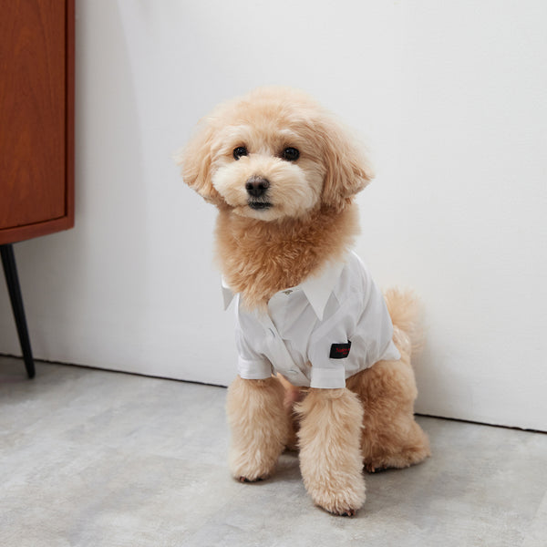画像をギャラリービューアに読み込む, Stretch shirt(ストレッチ)White