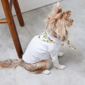 Stretch shirt(ストレッチ)White