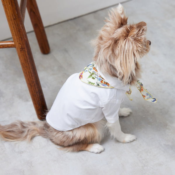 画像をギャラリービューアに読み込む, Stretch shirt(ストレッチ)White