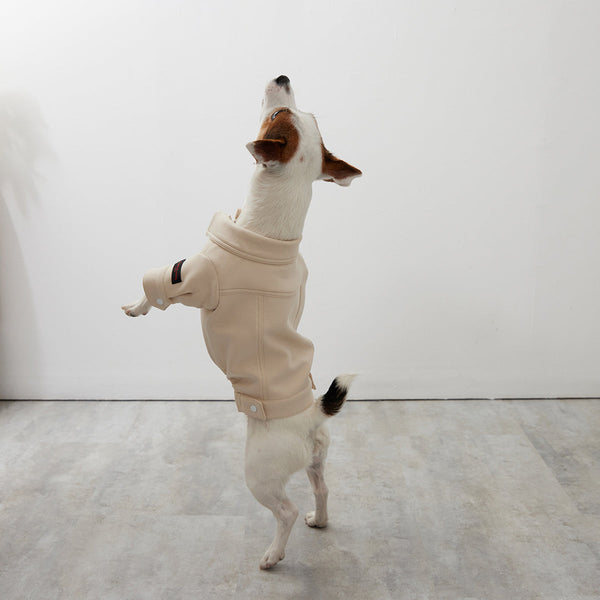 画像をギャラリービューアに読み込む, Soft cut&sewn jacket(cream)