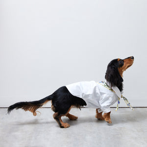 Stretch shirt(ストレッチ)White