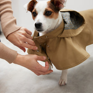 Cape chino coat
