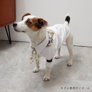 Stretch shirt(ストレッチ)White