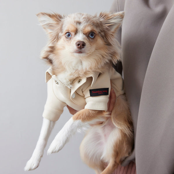 画像をギャラリービューアに読み込む, Soft cut&sewn jacket(cream)