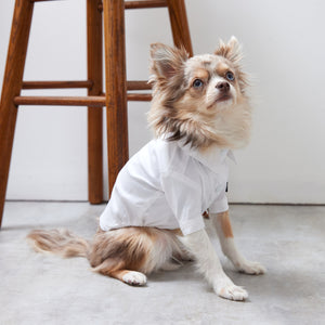 Stretch shirt(ストレッチ)White