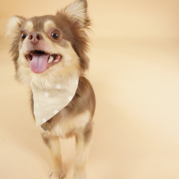 画像をギャラリービューアに読み込む, 保冷剤ポケット付きネッカチーフ(ドット刺繍)