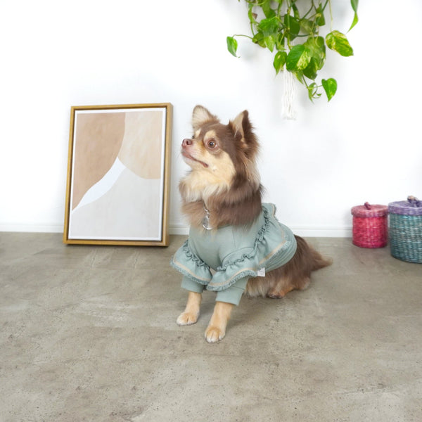 画像をギャラリービューアに読み込む, フリンジミニ裏毛Tシャツ(ピンク)